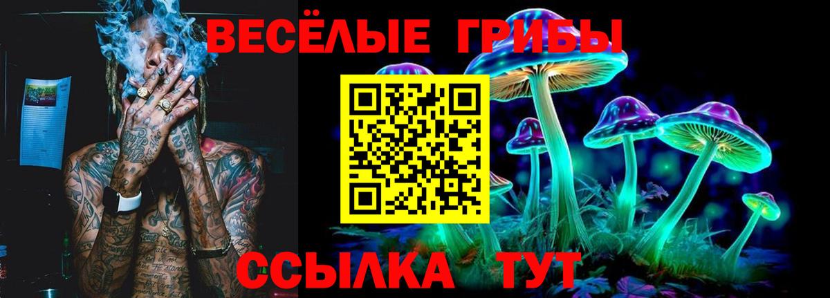 Псилоцибиновые грибы мухоморы Обь